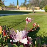 Villa Frangipani Salento