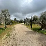 Villa Frangipani Salento